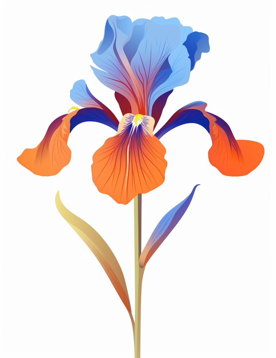 Cute Colorful Iris Flower Doodle